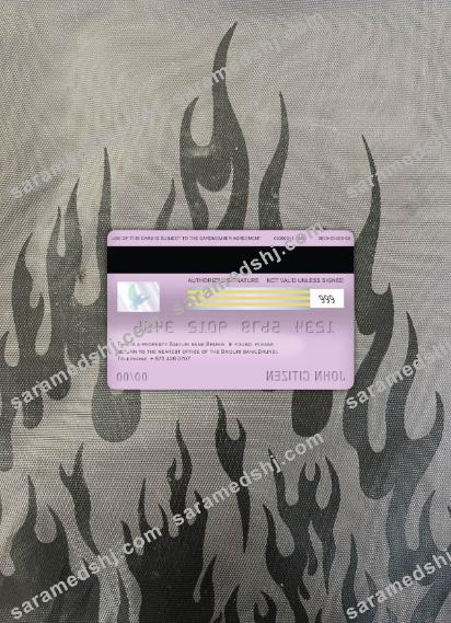 Brunei Baiduri bank visa debit card photolook back